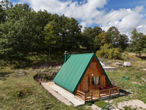 Forest rest in Pluzine