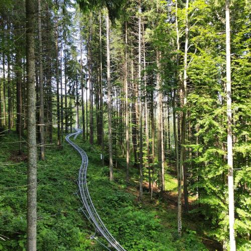 Ümbrus, Fürstensteiner Hof, Ihr Urlaub im Herzen des Bayerischen Waldes (Furstensteiner Hof, Ihr Urlaub im Herzen des Bayerischen Waldes) in Furstenstein