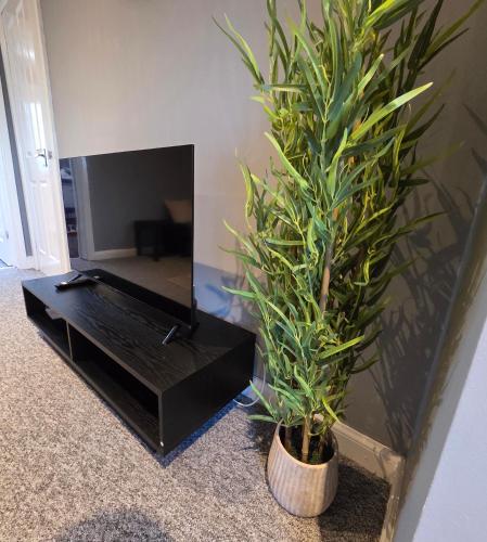 3 Bedroom FM Homes & Apartments Wishaw Motherwell in Вішоу