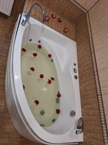 Karstais baseins, Szmer Olzy Apartament in Istebna