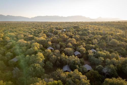 Karongwe - Chisomo Safari Camp, Hoedspruit (foto 3)