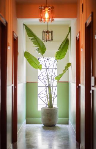 Sreenivas Lodge by Copperfolia in Puthiyara