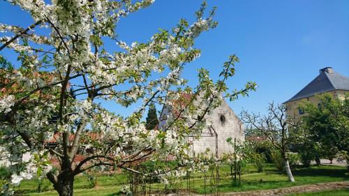 B&B au petit tambour d'Autingues