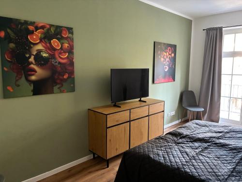 ANER 7 luxuriöses Familienapartment für bis zu 6 Personen mit kleinem Heimkino, Drážďany (fotografie 11)