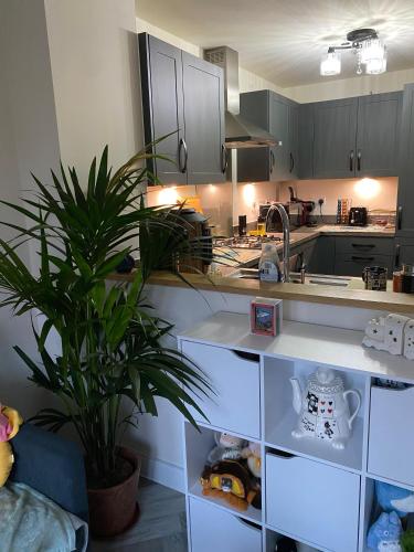 Konyha, The Cottontail - Modern Private Room With Breakfast - Tamworth in Tamworth