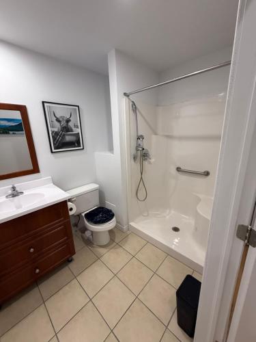 Charming Apartment downtown Montreal with Parking & Pet-Friendly near La Tannerie