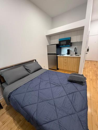 Charming Apartment downtown Montreal with Parking & Pet-Friendly near La Tannerie