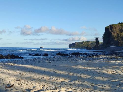 Rurutu Randy in Austral Islands