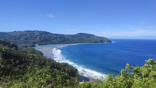 Rurutu Randy in Austral Islands