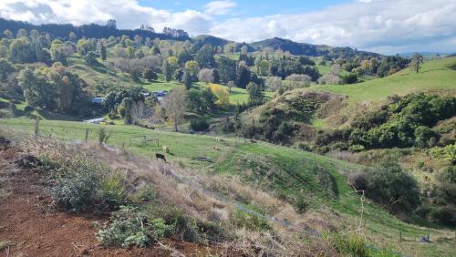 A környék, Misty Valley Hilltop Farmstay - Off Grid Retreat in Hangatiki