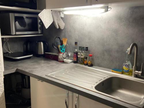 Appartement fonctionnel 4 pers au centre des Deux Alpes - FR-1-516-218 in ليه دوز الب