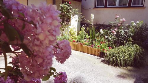 Apartment Cobanija - image 11
