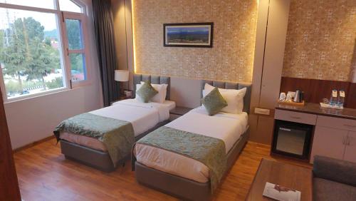 The Grand Mamta - image 3