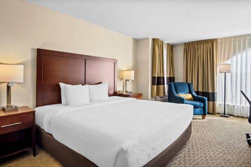 Comfort Suites Las Colinas Center - image 11