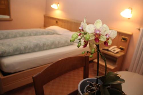  Albergo Caravasc in Livigno