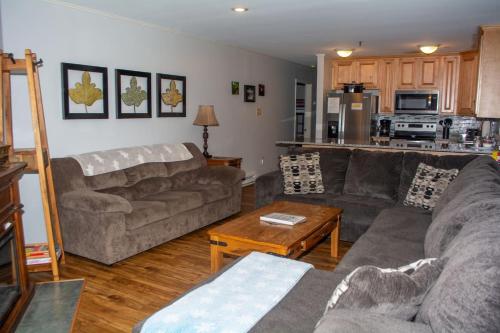 Winterplace Ski in Ski out condo First Floor D103 in Ghent (WV)