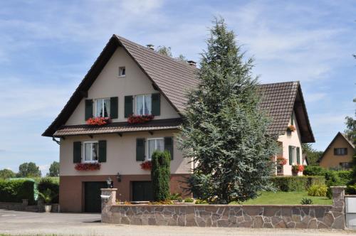 Gite les bouleaux Sud Alsace gîte à louer Ballersdorf