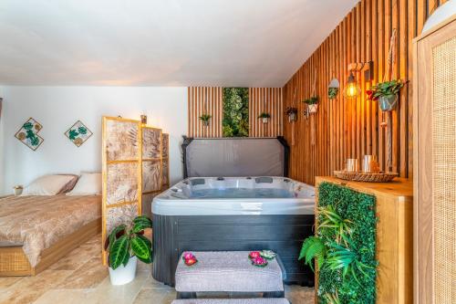 Une parenthèse en luberon, jacuzzi - Apartment - Les Taillades