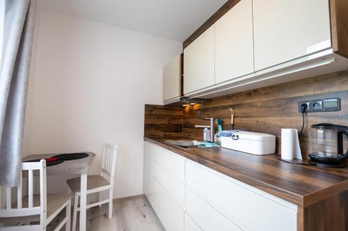 Apartmán Rokytnička (Apartman Rokytnicka) in โรคิตนิซ วี ออร์ลิซคิช ฮอราค