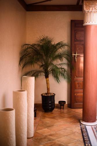 Villa Prestige Mansourya - image 2