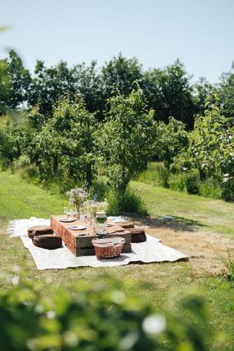 Eco Farm Camping 'de Waeldernis' in Texel