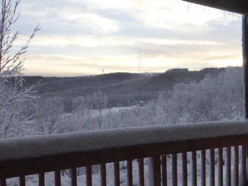 Winterplace Condos - Ski In Ski Out! E101 in Ghent, USA