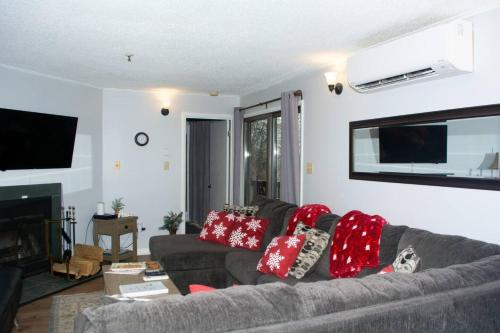 Winterplace Condos - Ski In Ski Out! E101 image