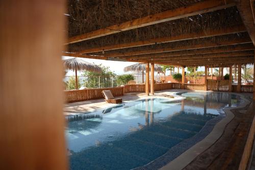 Swimming pool, Glamping -420 in Dead Sea