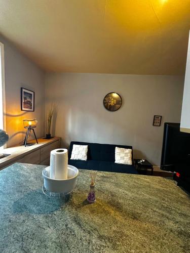 Studio Cozy & Vintage dans le centre ville, Brive-la-Gaillarde (fotografie 7)