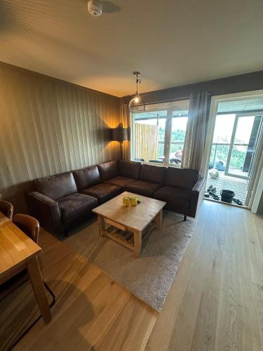 Ski in ski out apartment with sauna, Hemsedal