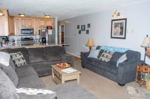 Winterplace Condos - Ski in Ski out E104 in Ghent, USA