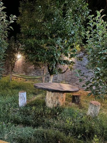 Jardim, The Family Garden in Nurnus