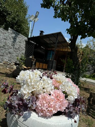 Jardim, The Family Garden in Nurnus