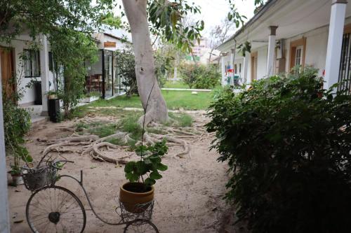 Hotel Montecatini I in Copiapo