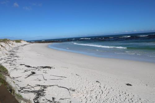 pludmale, Sea Castle in Pearly Beach
