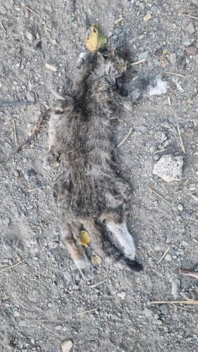 My beautiful home in 헤마반