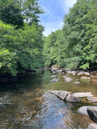 Wisteria cottage in Avent