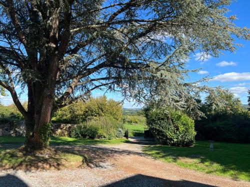 Wisteria cottage in Avent