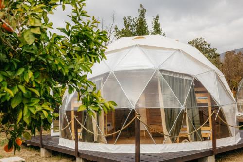 オルジバ Hotel Taray Botanico 3つ星 ホテル 施設