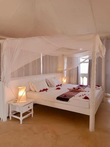 Aquarius Club in Watamu