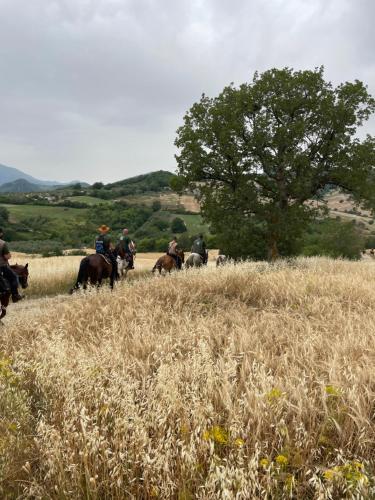 La Dimora di Armida in Torricella Peligna