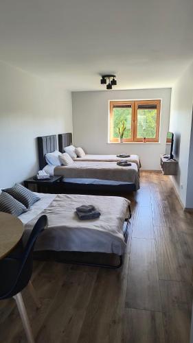 Apartamenty pod Orzechem in Коцержина