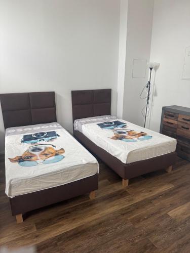 Stay Zentral Dresden, Drážďany (fotografie 2)