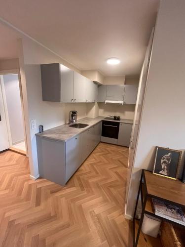 Pen leilighet i et koselig nabolag, Oslo (photo 4)