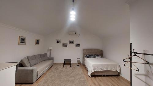 Home, Poti (fotografie 4)