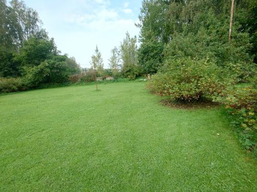 Vista in วาซา