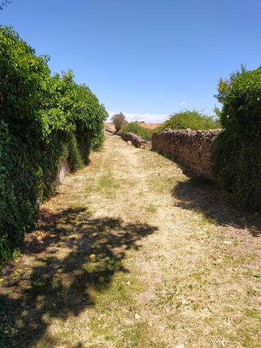 Alojamiento Rural La Arboleda in 奧爾韋加