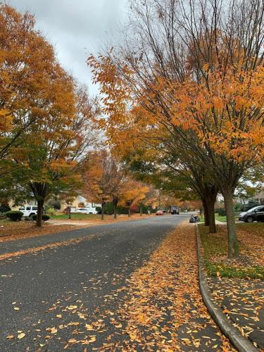 Cozy1B1B W Private Entrance