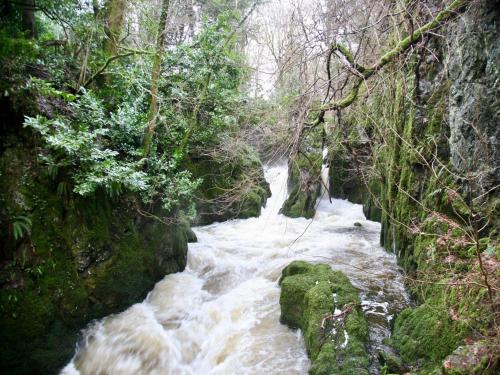 Létesítmények, 1 Bed in Powmill 95872 in Powmill