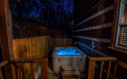 Sweet Annie in Sevierville, USA